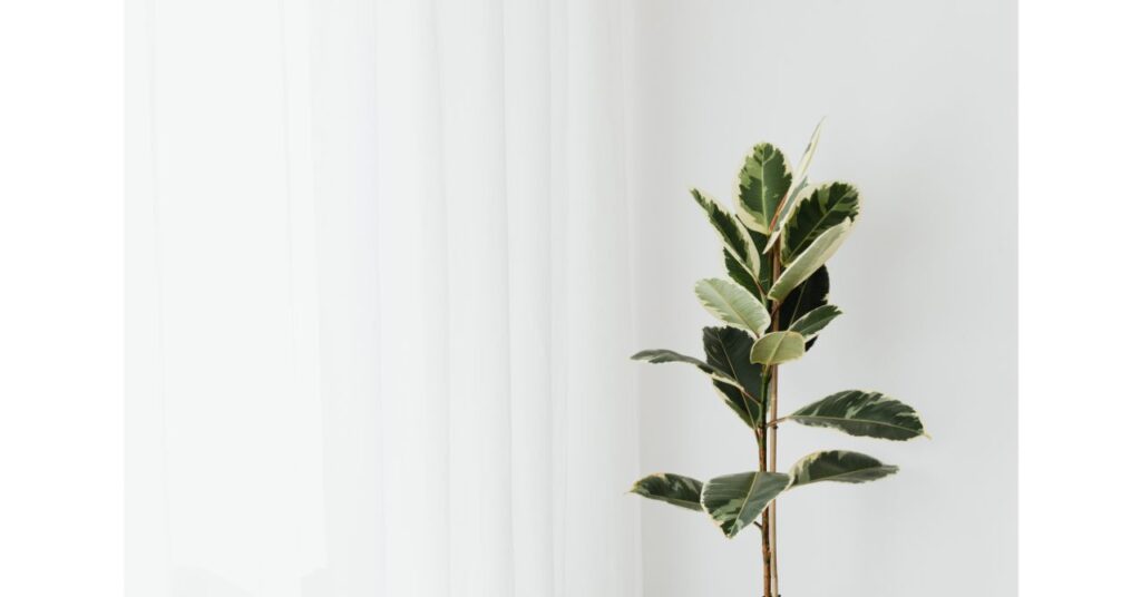 休職中 心の支えが回復につながることを示すイメージ