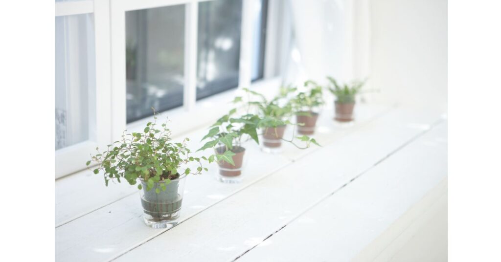 復職を支える穏やかな日常のイメージ